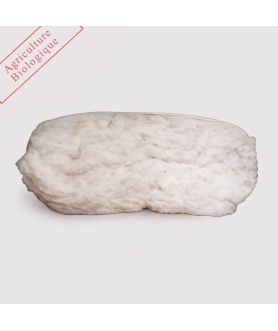 Futon coton biologique