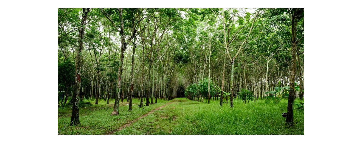 Canapé convertible Futon en promotion - Futon Élite