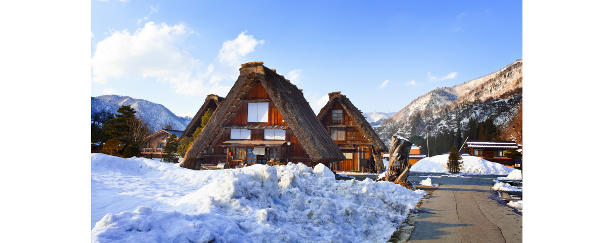 Toutes nos promotions Futon