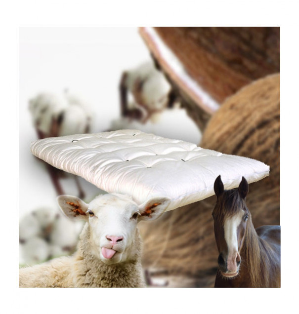 Et voilà notre meilleur futon