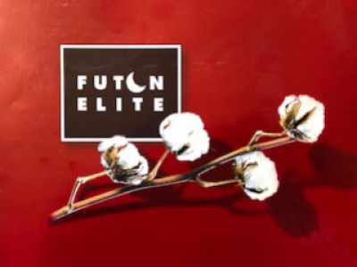 Pourquoi choisir Futon Elite